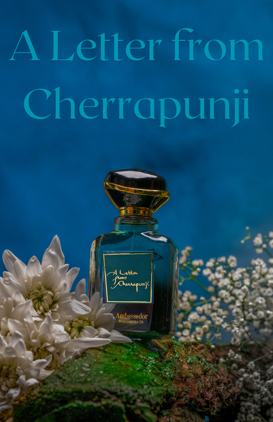 A Letter from Cherrapunji