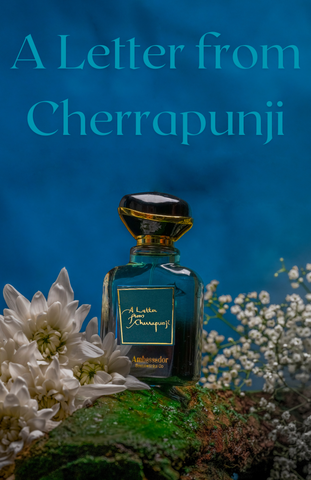 A Letter from Cherrapunji