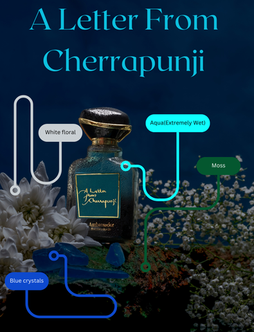 A Letter from Cherrapunji - alt